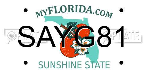 SAYG81 Florida License Plate