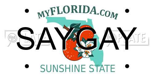 SAYGAY Florida License Plate