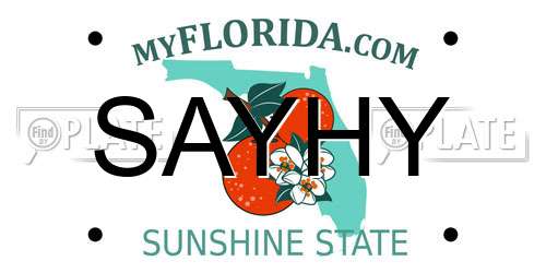 SAYHY Florida License Plate