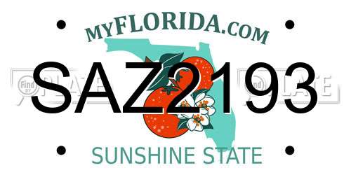 SAZ2193 Florida License Plate