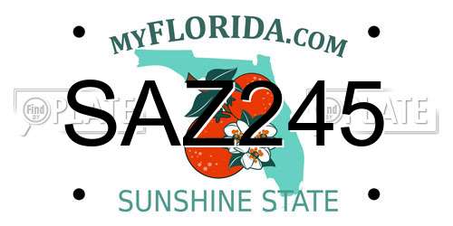 SAZ245 Florida License Plate