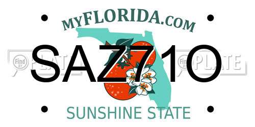 SAZ71O Florida License Plate