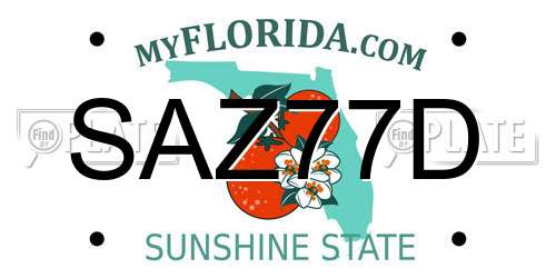 SAZ77D Florida License Plate
