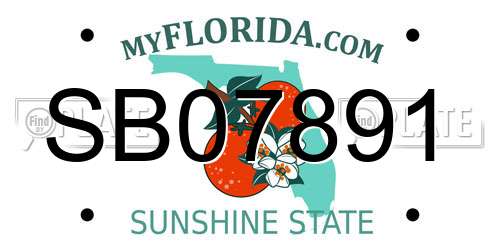 SB07891 Florida License Plate