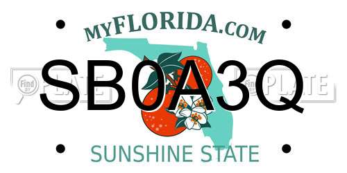 SB0A3Q Florida License Plate