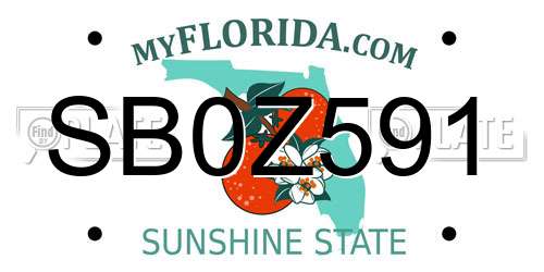 SB0Z591 Florida License Plate