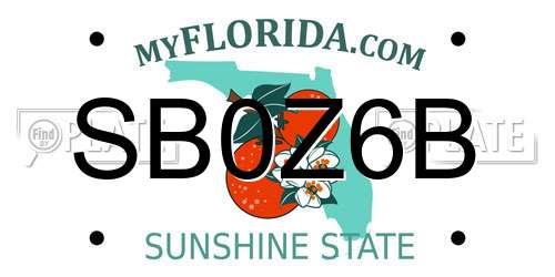 SB0Z6B Florida License Plate