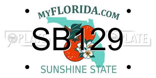SB129 Florida License Plate