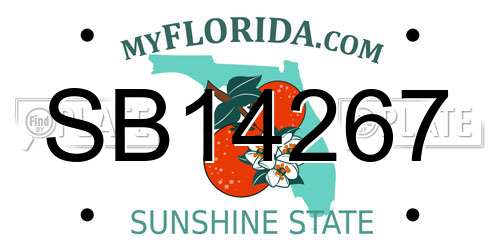SB14267 Florida License Plate