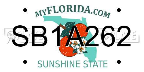 SB1A262 Florida License Plate