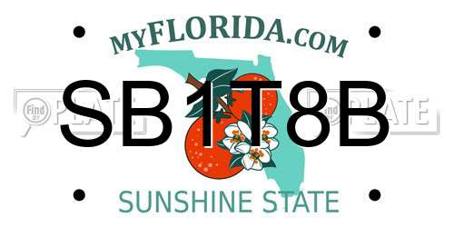 SB1T8B Florida License Plate