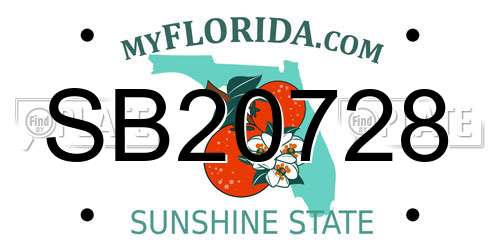 SB20728 Florida License Plate