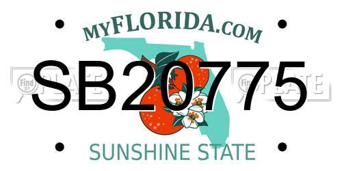 SB20775 Florida License Plate