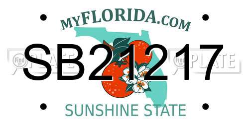 SB21217 Florida License Plate