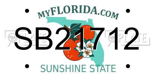 SB21712 Florida License Plate