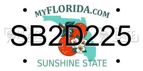 SB2D225 Florida License Plate