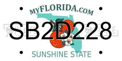 SB2D228 Florida License Plate