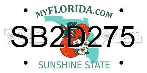 SB2D275 Florida License Plate