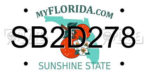 SB2D278 Florida License Plate