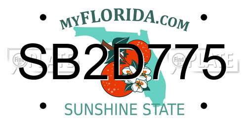 SB2D775 Florida License Plate