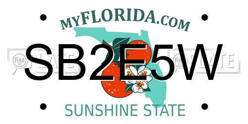 SB2E5W Florida License Plate