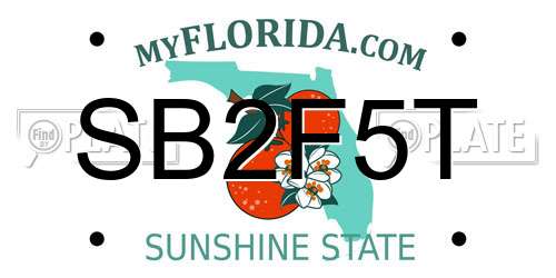 SB2F5T Florida License Plate
