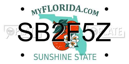 SB2F5Z Florida License Plate