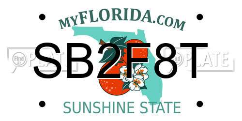 SB2F8T Florida License Plate