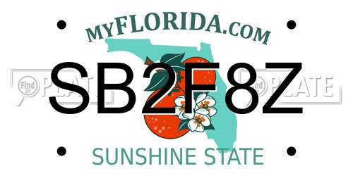 SB2F8Z Florida License Plate