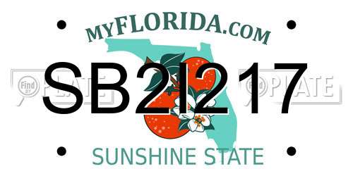 SB2I217 Florida License Plate