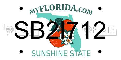 SB2I712 Florida License Plate