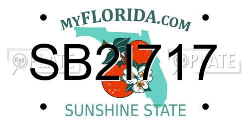 SB2I717 Florida License Plate