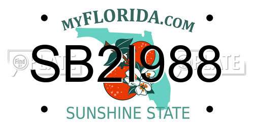 SB2I988 Florida License Plate