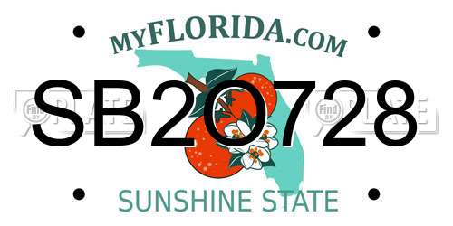 SB2O728 Florida License Plate