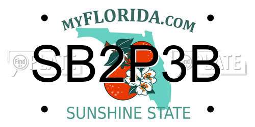 SB2P3B Florida License Plate