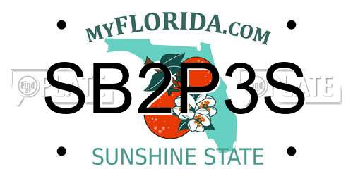 SB2P3S Florida License Plate