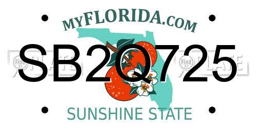 SB2Q725 Florida License Plate