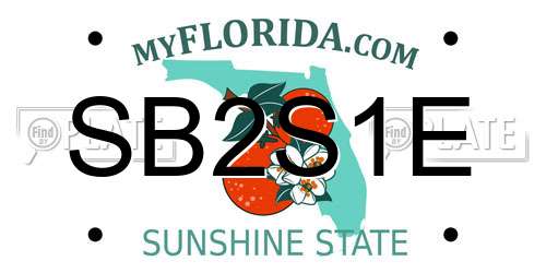 SB2S1E Florida License Plate