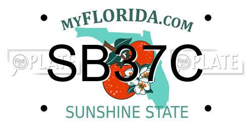 SB37C Florida License Plate