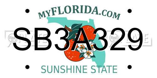SB3A329 Florida License Plate