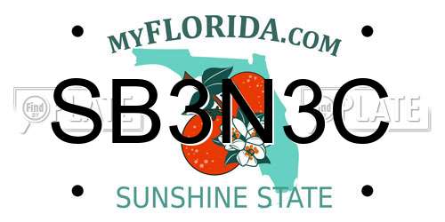 SB3N3C Florida License Plate
