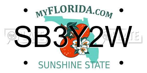 SB3Y2W Florida License Plate