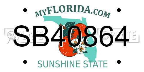 SB40864 Florida License Plate