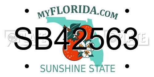 SB42563 Florida License Plate