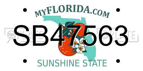 SB47563 Florida License Plate