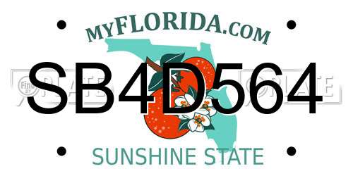 SB4D564 Florida License Plate