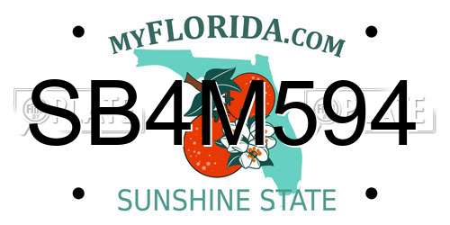 SB4M594 Florida License Plate