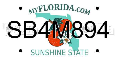 SB4M894 Florida License Plate