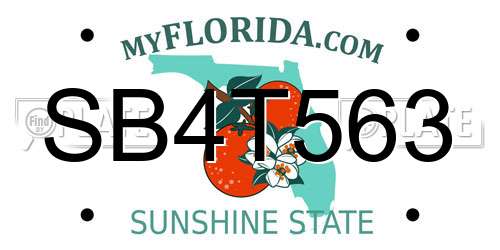 SB4T563 Florida License Plate