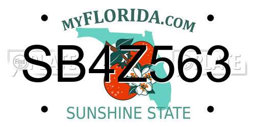 SB4Z563 Florida License Plate